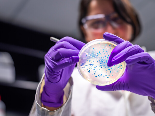 A scientist holds a petri dish